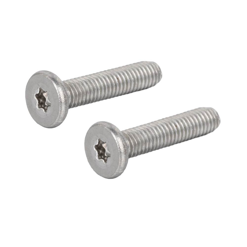 Stainless Steel Low Profile Head TORX screws