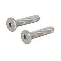 Stainless Steel Low Profile Head TORX screws