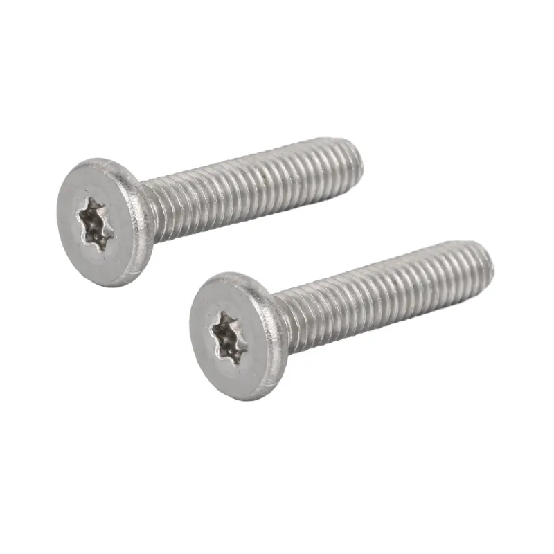 Stainless Steel Low Profile Head TORX screws