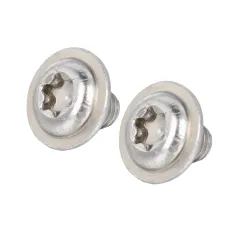 Stainless Steel Pan Washer Head TORX Screws