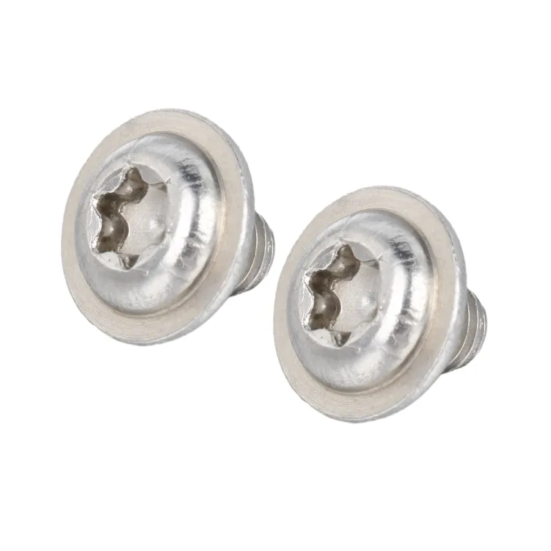 Stainless Steel Pan Washer Head TORX Screws