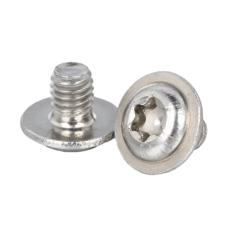 Stainless Steel Pan Washer Head TORX Screws