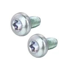 Pan Head TORX Rolling Screw