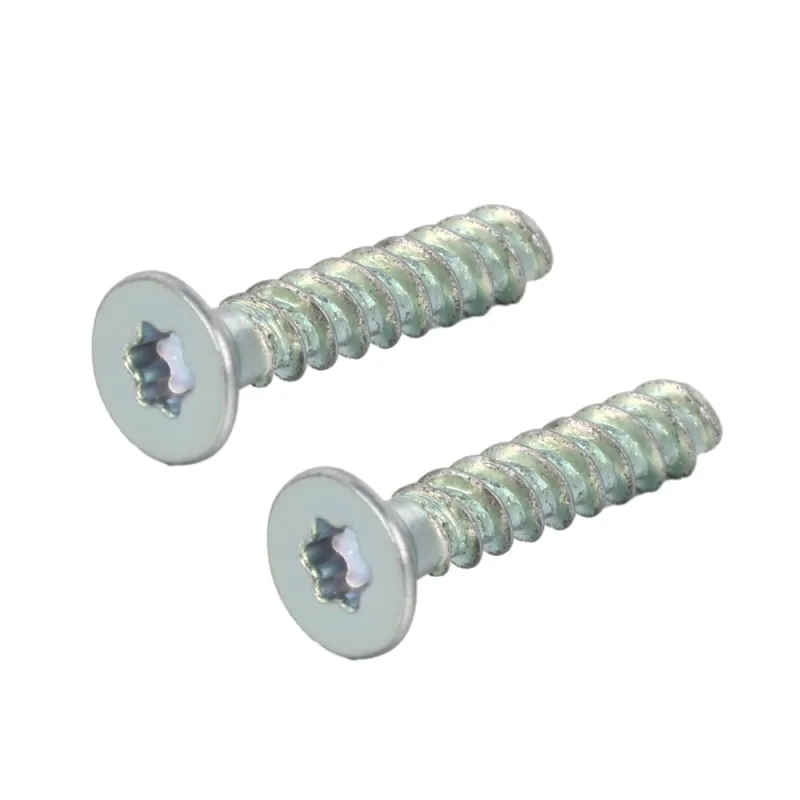 Steel Flat Head TORX Thread Forming Screw