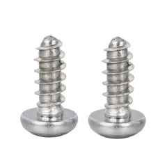 Stainless Steel Pan Head TORX Thread Forming Screw