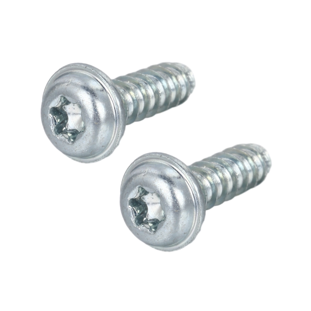 Pan Washer Head TORX Forming Screw