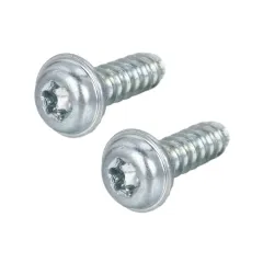 Pan Washer Head TORX Forming Screw