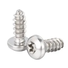 Stainless Steel Pan Head TORX Thread Forming Screw