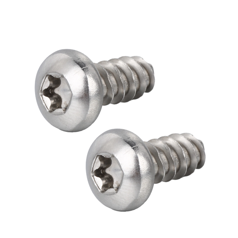 Stainless Steel Pan Head TORX Thread Forming Screw