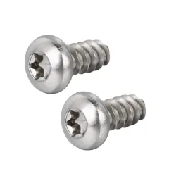 Stainless Steel Pan Head TORX Thread Forming Screw