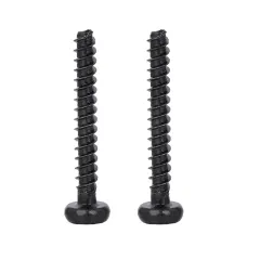 Pan Head TORX Forming Screw