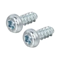 Steel Pan Head TORX Forming Screw