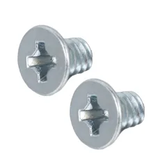 Steel Flat Undercut Head Phillips Thread Forming Screw