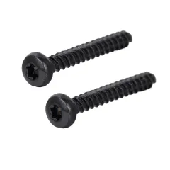 Pan Head TORX Forming Screw