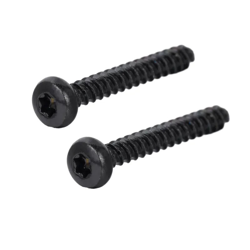 Pan Head TORX Forming Screw