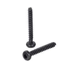 Pan Head TORX Forming Screw