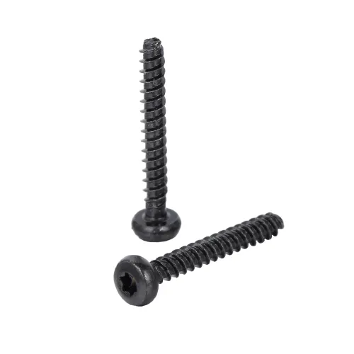 Pan Head TORX Forming Screw