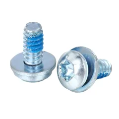 Pan Head TORX SEMS Screw With Lock Patch