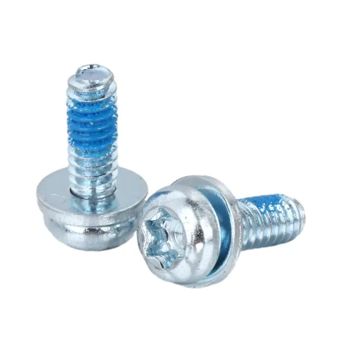 Pan Head TORX SEMS Machine Screw With Patch