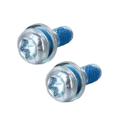Pan Head TORX SEMS Machine Screw With Patch