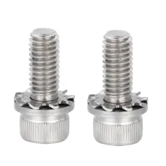 Staniless Steel Socket Cap Head SEMS Screw with External Tooth Washer + Flat Washer