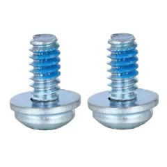 Pan Head TORX SEMS Screw With Lock Patch