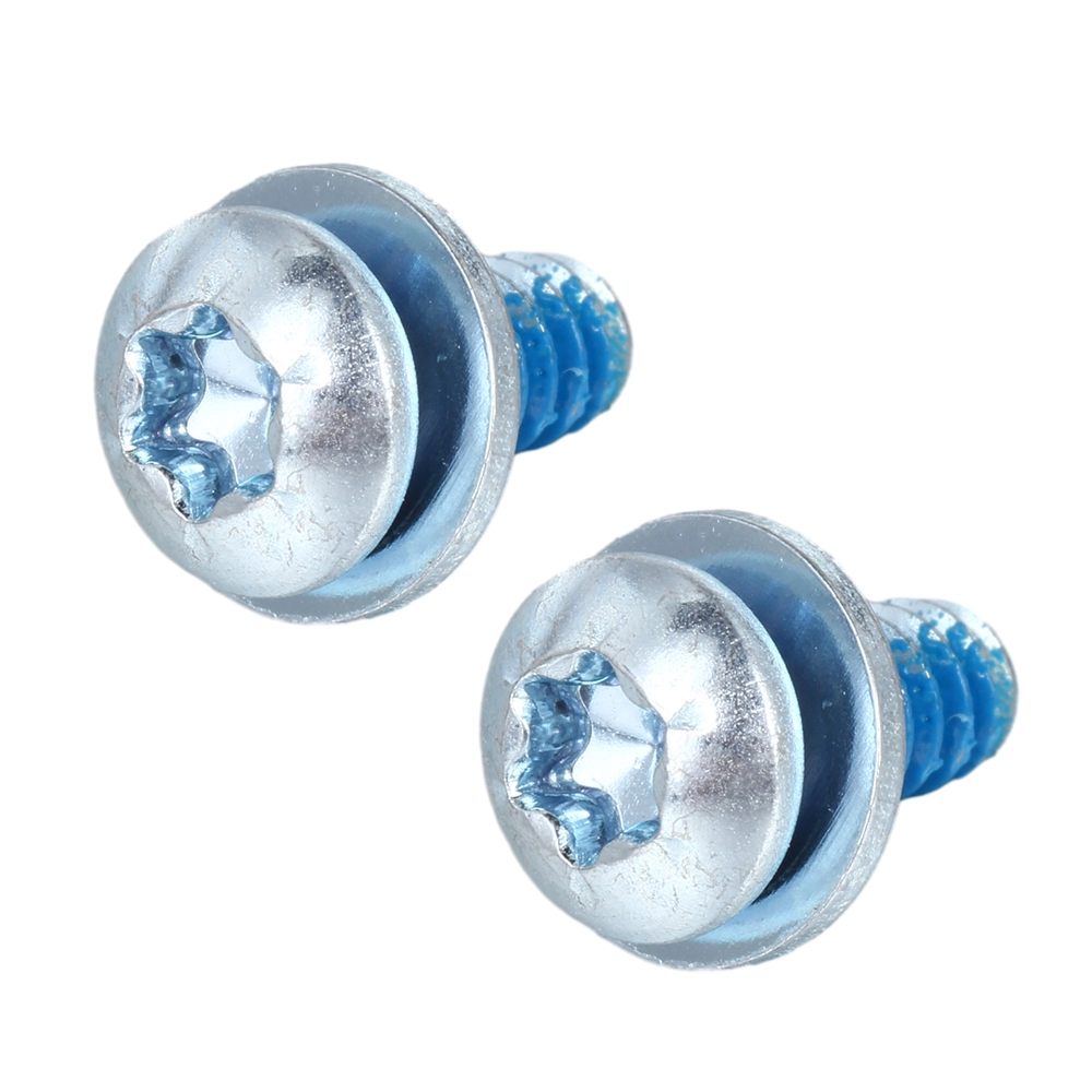 Pan Head TORX SEMS Screw With Lock Patch