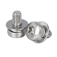 Stainless Steel Pan Head TORX SEMS Screw with Spring Lock Washer + Flat Washer