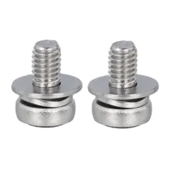 Stainless Steel Pan Head TORX SEMS Screw with Spring Lock Washer + Flat Washer