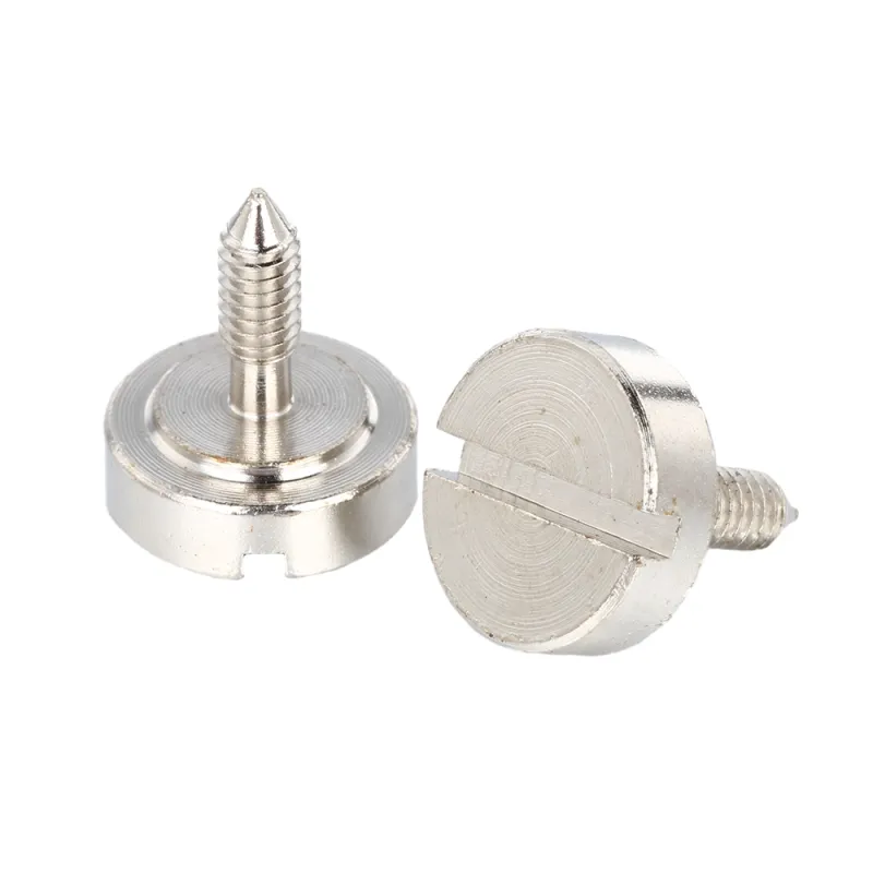 Stainless Steel Big Flat Head Slotted Custom Pointed Tail Screw