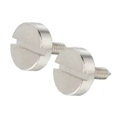 Stainless Steel Big Flat Head Slotted Custom Pointed Tail Screw