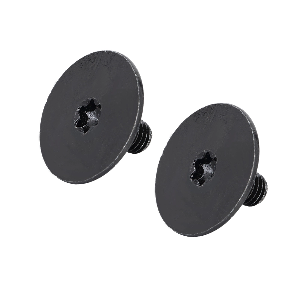 Flat Head TORX Custom Screw