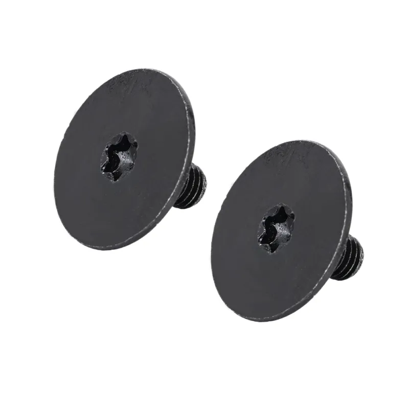 Flat Head TORX Custom Screw