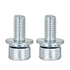 Socket Cap TORX Head SEMS Screw with Spring Lock Washer + Flat Washer