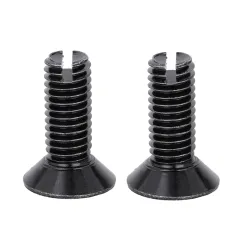 DIN 7991 Flat Head with Slotted Custom Screw