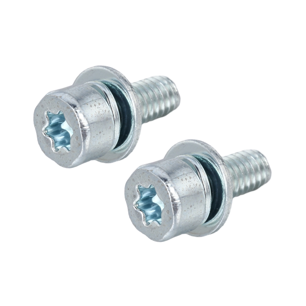 Socket Cap TORX Head SEMS Screw with Spring Lock Washer + Flat Washer