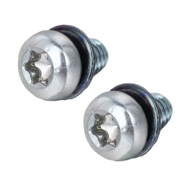 Stainless Steel Pan Head SEMS Screw With Conical Washer