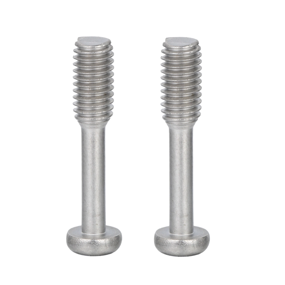 Stainless Steel Phillips Pan Head Custom Screw