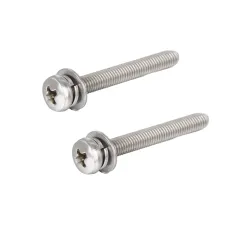 Staniless Steel Pan Head SEMS Screw