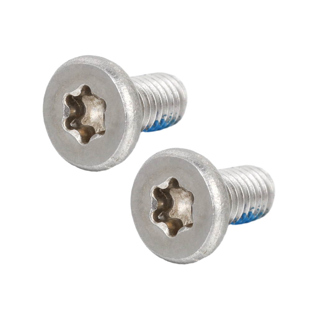 Stainless Steel Flat Head Low Profile Head TORX Machine screws