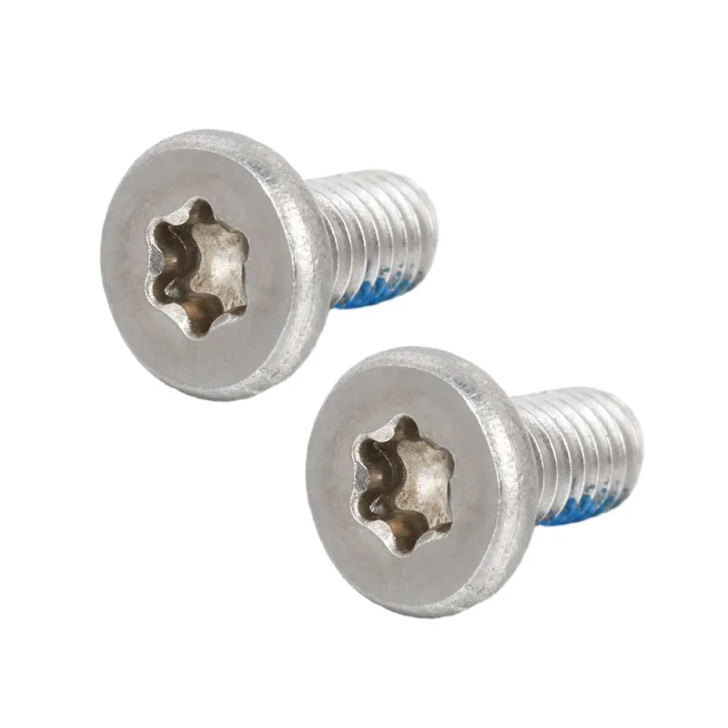 Stainless Steel Flat Head Low Profile Head TORX Machine screws