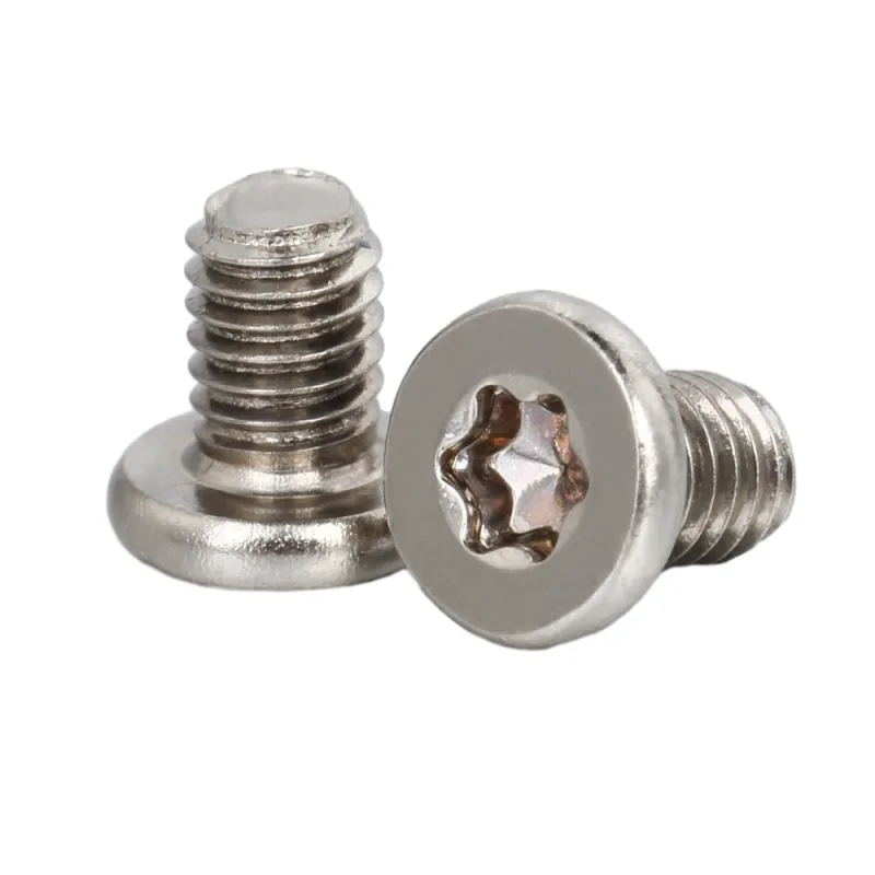 Stainless Steel Flat Head Low Profile Head TORX screws
