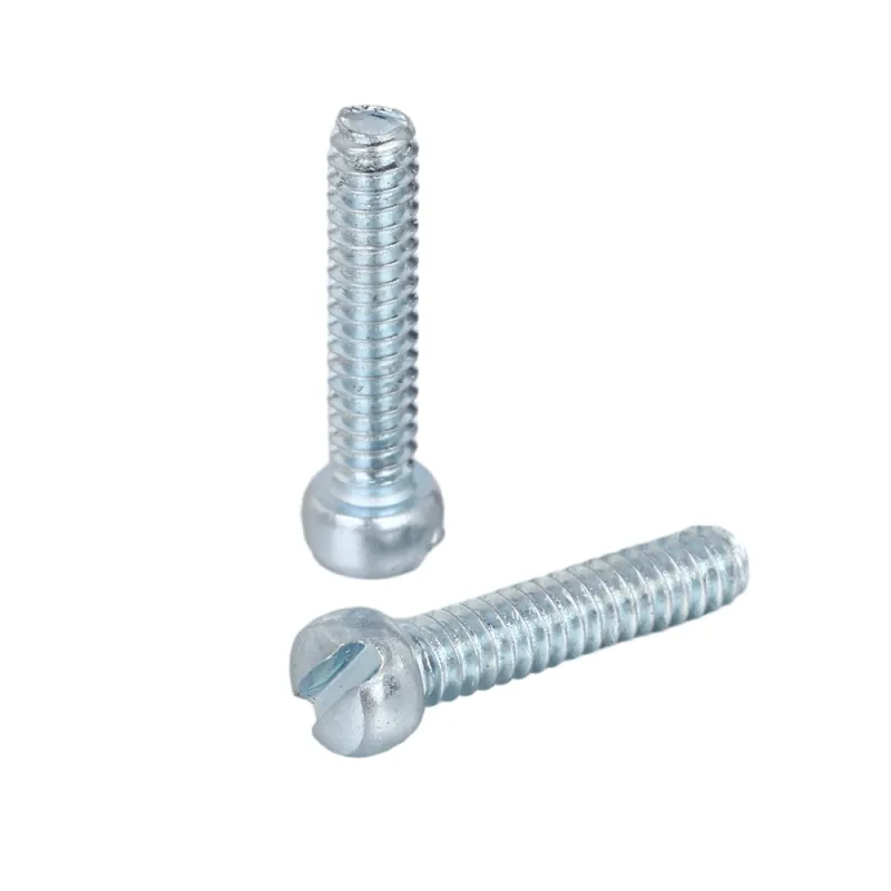 Fillister Head Slotted Screw