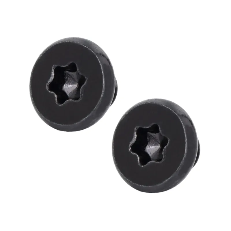 Steel Flat Head Low Profile Head TORX screws
