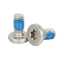 Stainless Steel Flat Head Low Profile Head TORX Machine screws