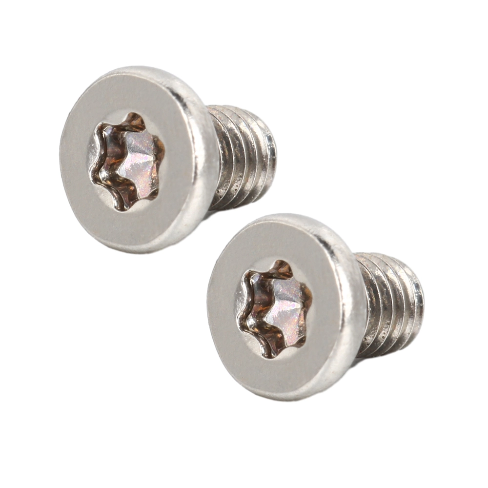 Stainless Steel Flat Head Low Profile Head TORX screws