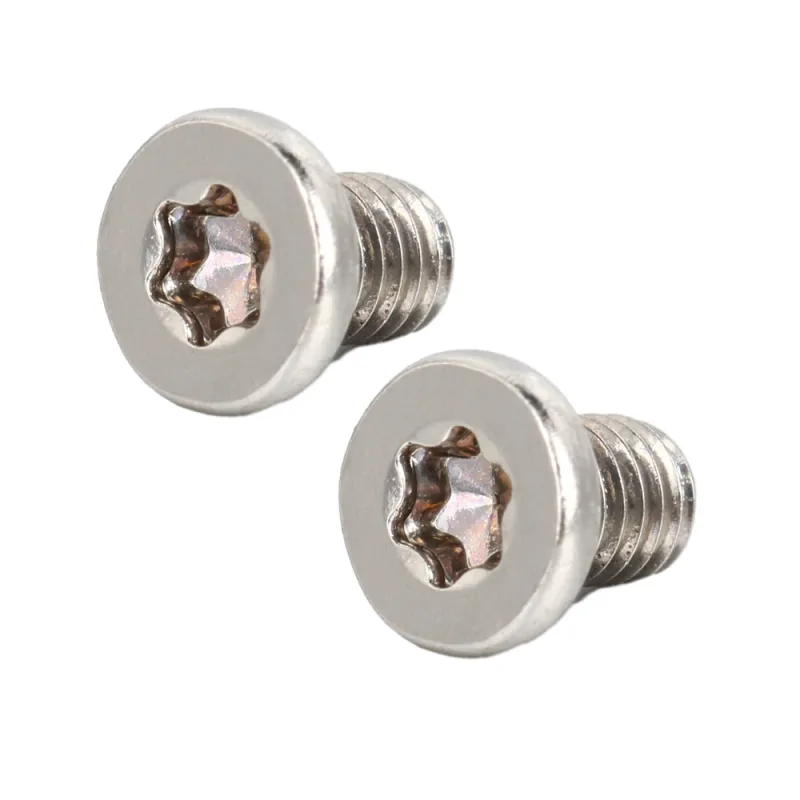 Stainless Steel Flat Head Low Profile Head TORX screws