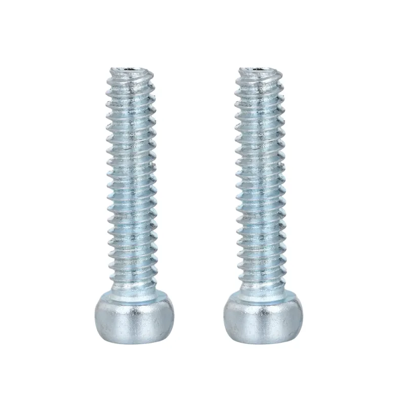 Fillister Head Slotted Screw