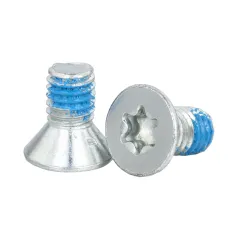 DIN 7991 Flat Head TORX Tread Lock Patch Machine Screw