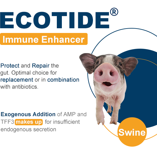 Ecotide（Swine）
